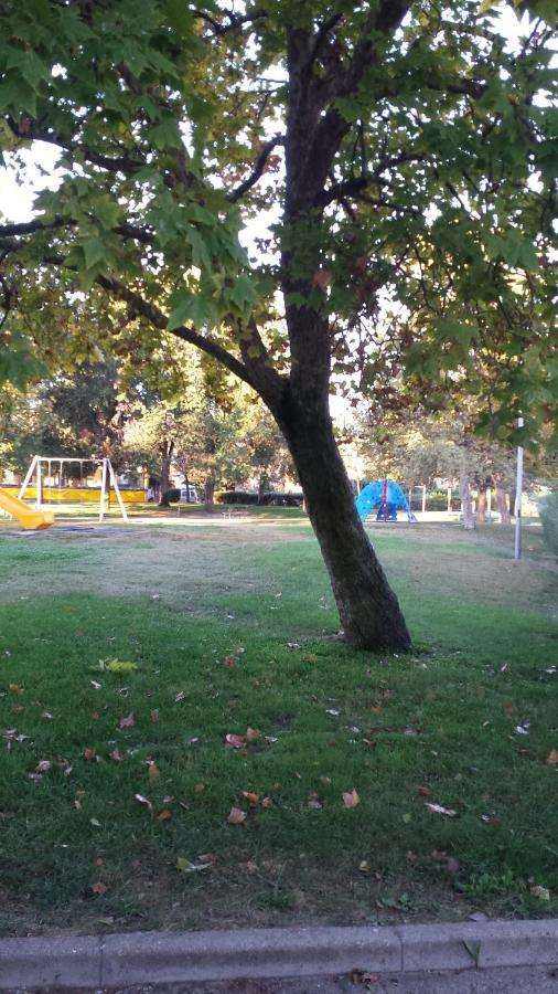 Ferienwohnung La Terrazza Sul Parco Oristano Exterior foto