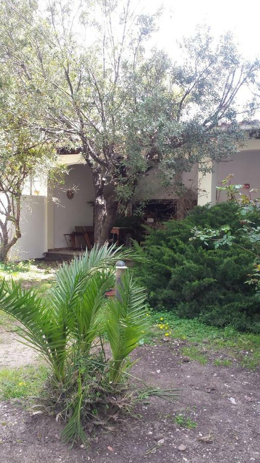 Ferienwohnung La Terrazza Sul Parco Oristano Exterior foto